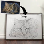 Pencil Sketch Pet Portrait from your Photo (Landscape Orientation)
