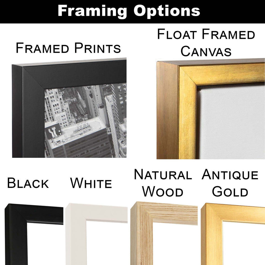 Color Illustration Portrait from your Photo (Landscape Orientation)