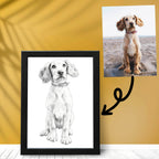 Pencil Sketch Pet Portrait from your Photo