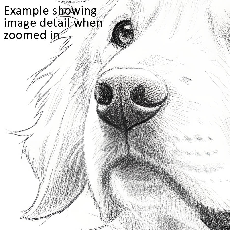 Pencil Sketch Pet Portrait from your Photo (Landscape Orientation)