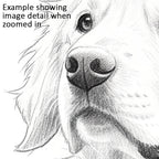 Pencil Sketch Pet Portrait from your Photo (Landscape Orientation)
